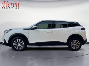 Peugeot 2008 BlueHDi 100 S&S Active